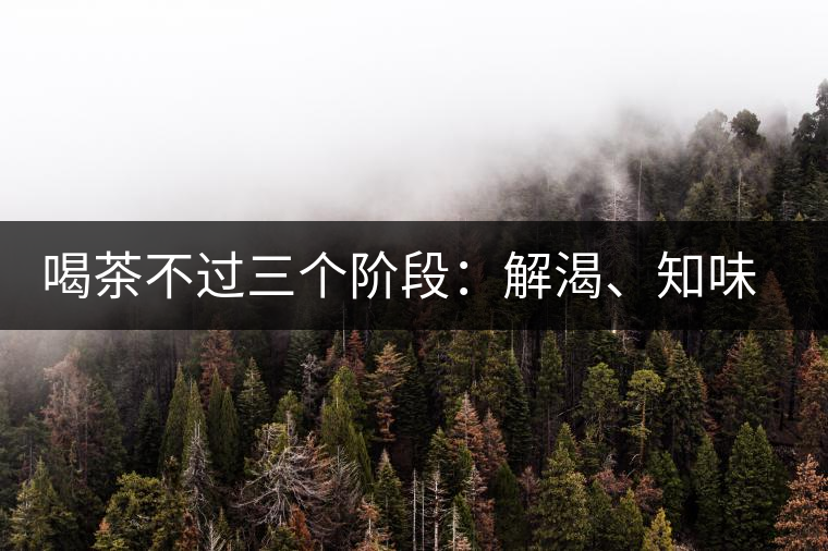 喝茶不過三個(gè)階段：解渴、知味、怡情
