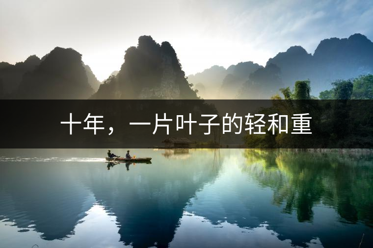 十年，一片葉子的輕和重
