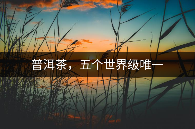 普洱茶，五個世界級唯一