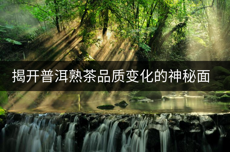 揭開普洱熟茶品質變化的神秘面紗