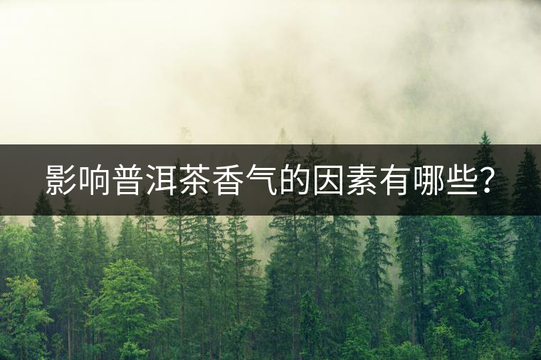 影響普洱茶香氣的因素有哪些？