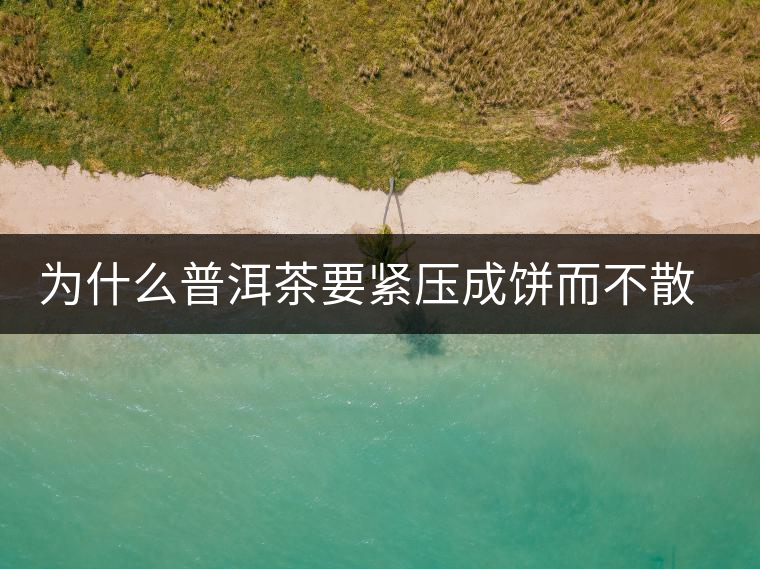 為什么普洱茶要緊壓成餅而不散存呢？