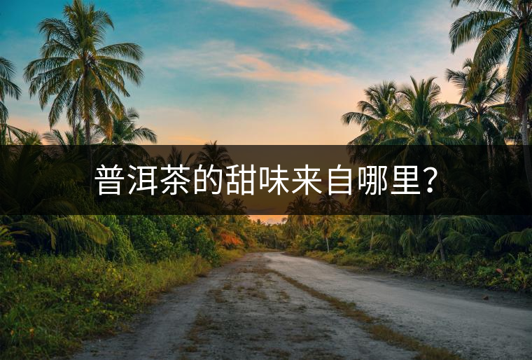 普洱茶的甜味來(lái)自哪里？