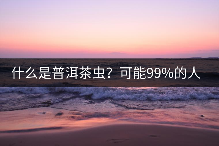 什么是普洱茶蟲？可能99%的人都不知道