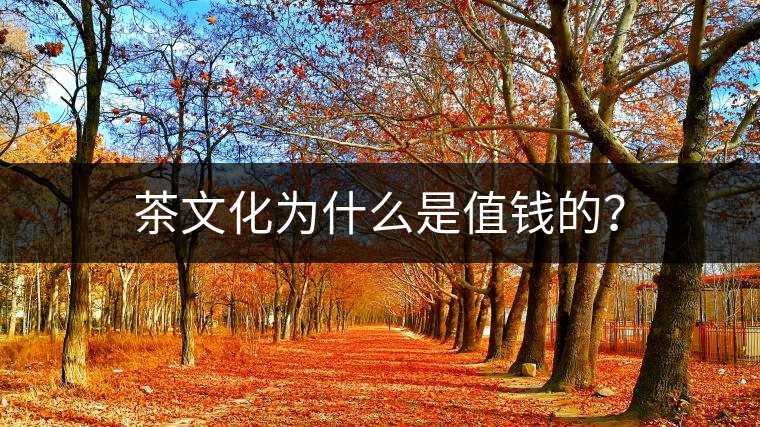 茶文化為什么是值錢(qián)的？