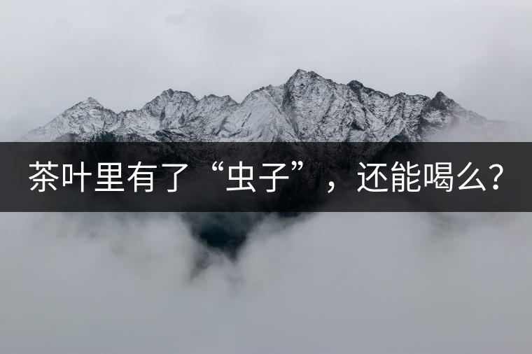 茶葉里有了“蟲子”，還能喝么？