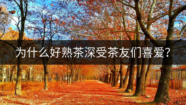 為什么好熟茶深受茶友們喜愛？