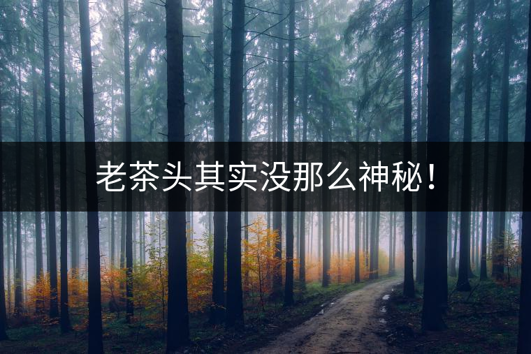 老茶頭其實(shí)沒(méi)那么神秘！