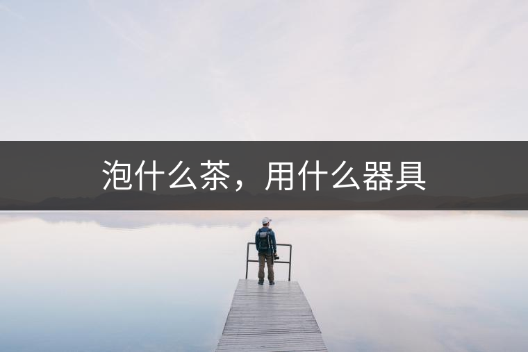 泡什么茶，用什么器具