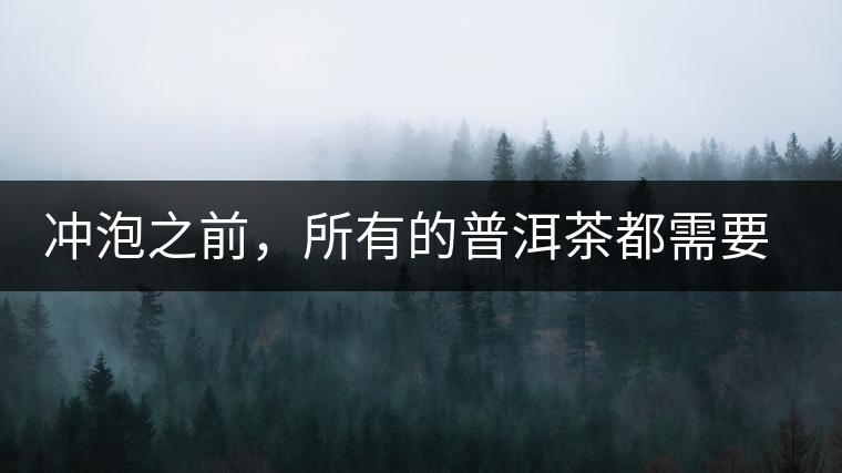 沖泡之前，所有的普洱茶都需要醒茶嗎？