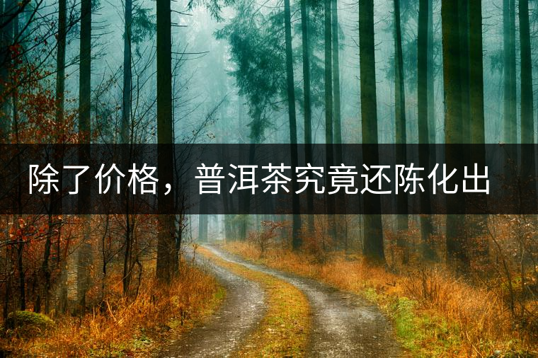 除了價格，普洱茶究竟還陳化出了啥？