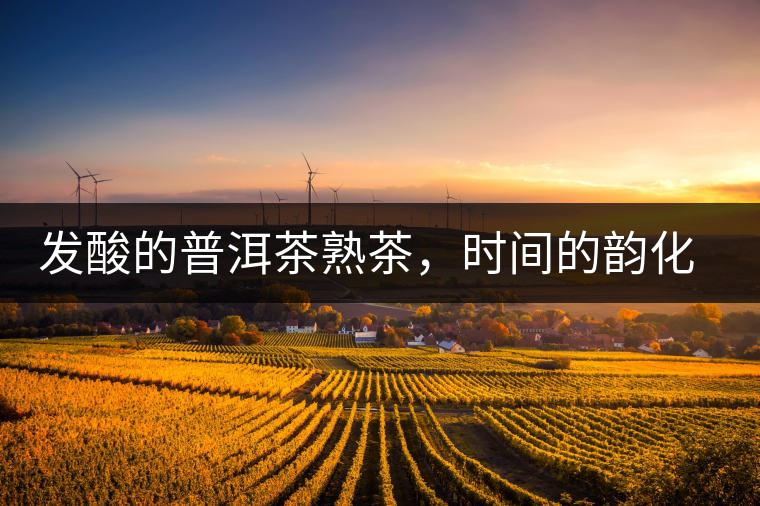 發(fā)酸的普洱茶熟茶，時(shí)間的韻化會(huì)讓它驚艷無(wú)比！