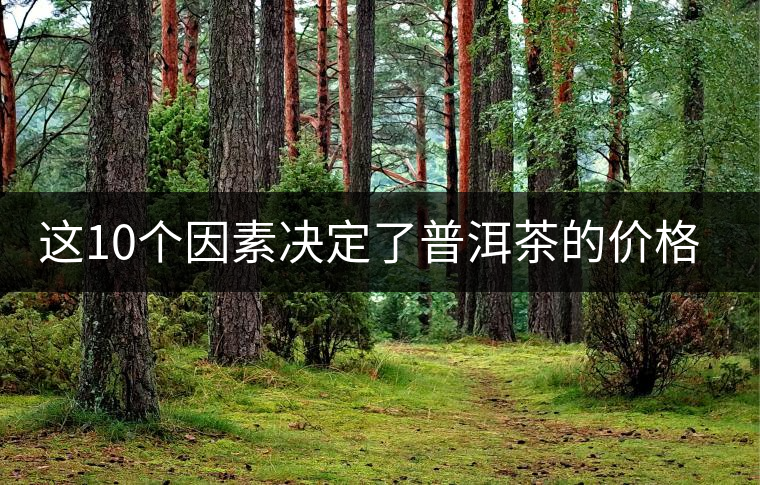 這10個因素決定了普洱茶的價格？