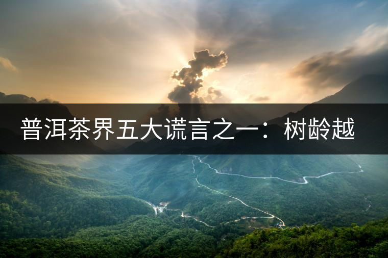 普洱茶界五大謊言之一：樹齡越高，品質(zhì)越好