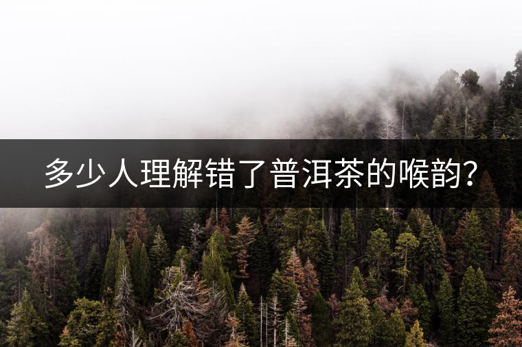 多少人理解錯(cuò)了普洱茶的喉韻？