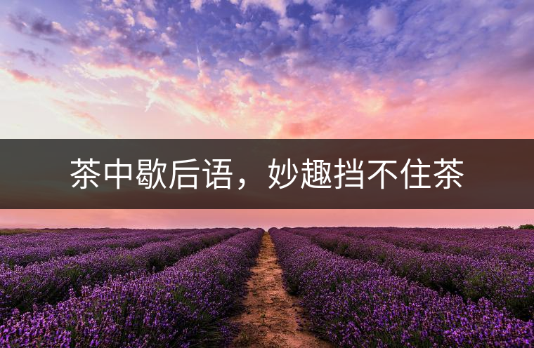 茶中歇后語，妙趣擋不住茶