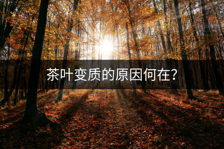 茶葉變質(zhì)的原因何在？