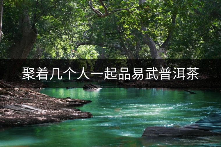 聚著幾個(gè)人一起品易武普洱茶