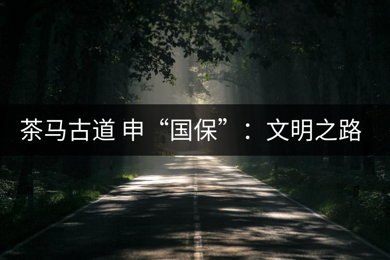 茶馬古道 申“國保”：文明之路的再發(fā)現(xiàn)