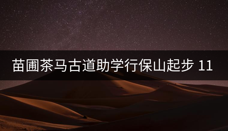 苗圃茶馬古道助學行保山起步 112名志愿者預計籌款100萬