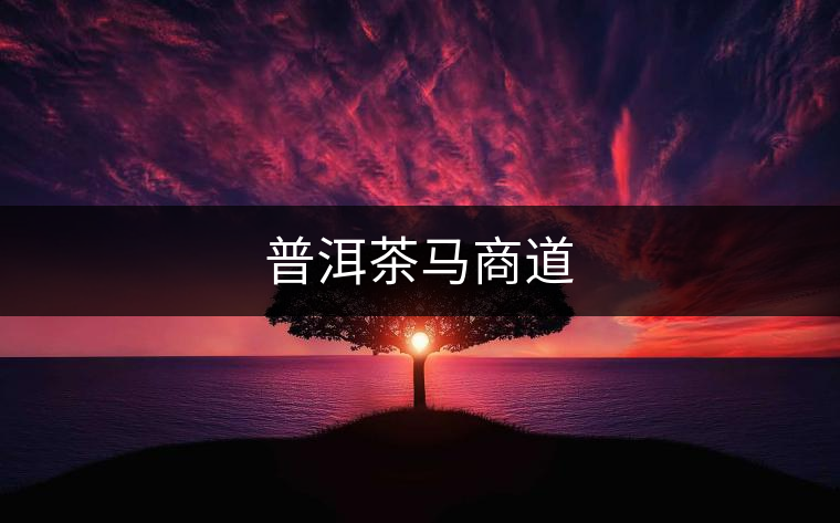 普洱茶馬商道 普洱茶馬商道