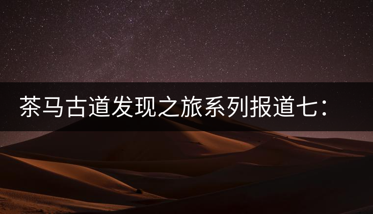 茶馬古道發(fā)現(xiàn)之旅系列報(bào)道七：漢藏血脈普洱路