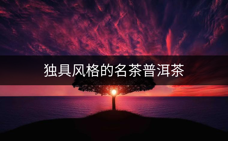 獨具風(fēng)格的名茶普洱茶