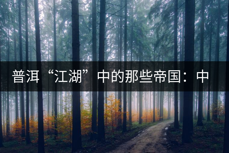 普洱“江湖”中的那些帝國(guó):中茶 普洱“江湖”中的那些帝國(guó):中茶