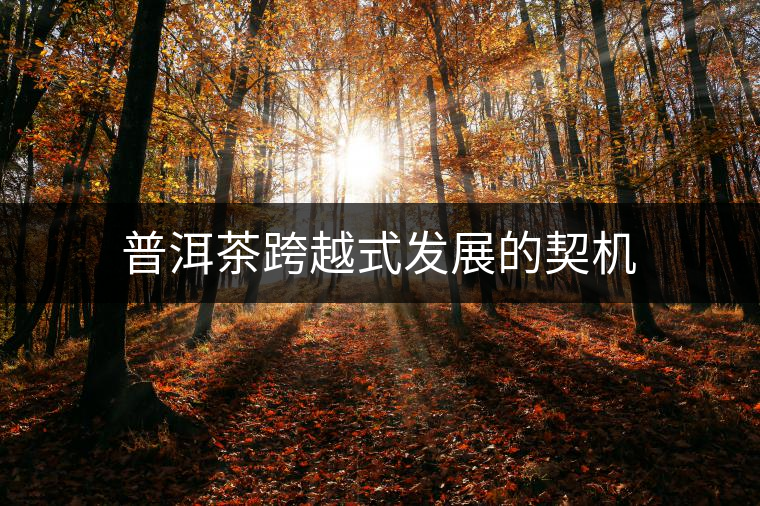 普洱茶跨越式發(fā)展的契機