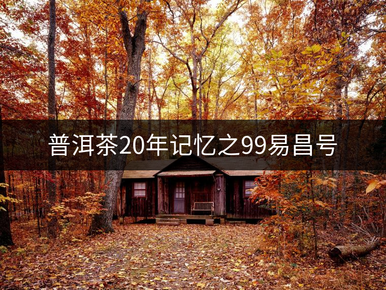 普洱茶20年記憶之99易昌號 普洱茶20年記憶之99易昌號