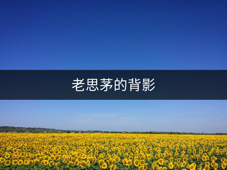 老思茅的背影 老思茅的背影