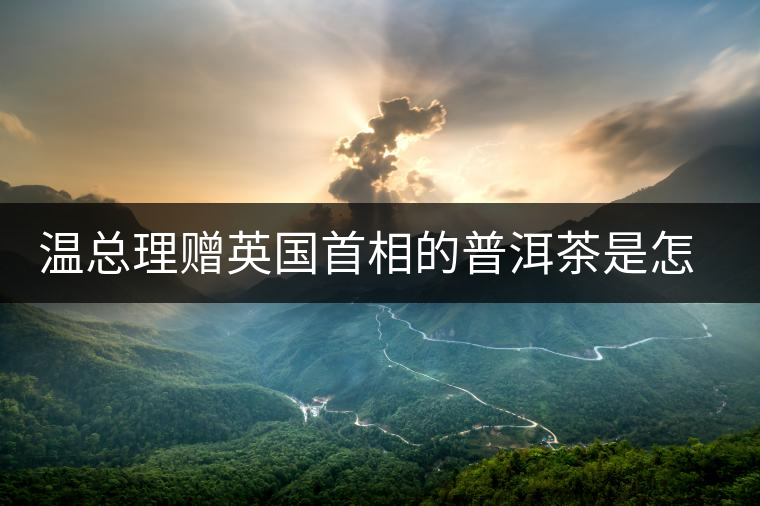 溫總理贈(zèng)英國(guó)首相的普洱茶是怎么制作的？