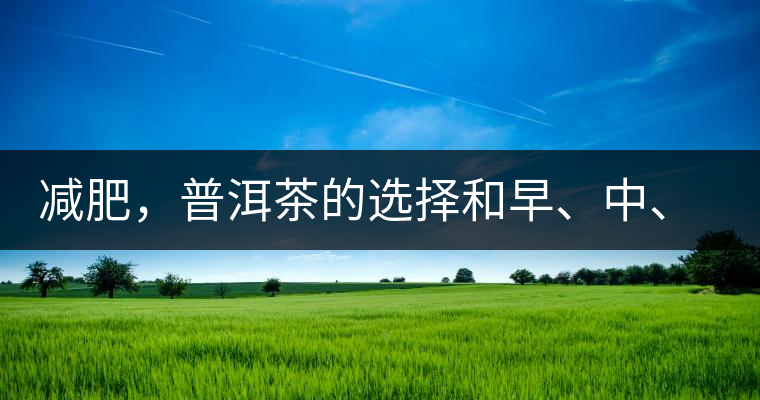 減肥，普洱茶的選擇和早、中、晚的喝法