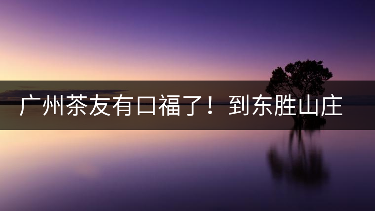 廣州茶友有口福了！到東勝山莊吃“普洱雞”去——