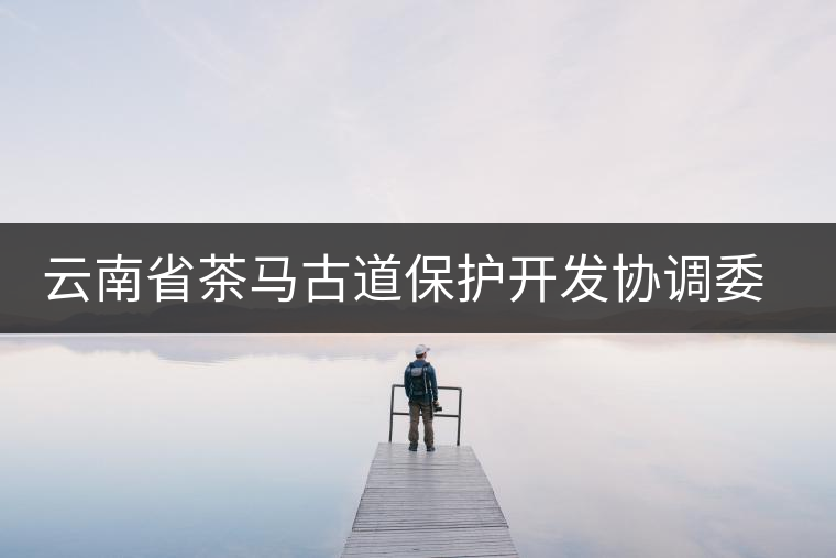 云南省茶馬古道保護開發(fā)協(xié)調(diào)委員會成立 云南省茶馬古道保護開發(fā)協(xié)調(diào)委員會成立