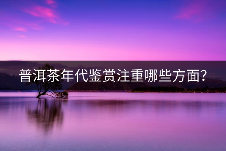 普洱茶年代鑒賞注重哪些方面？