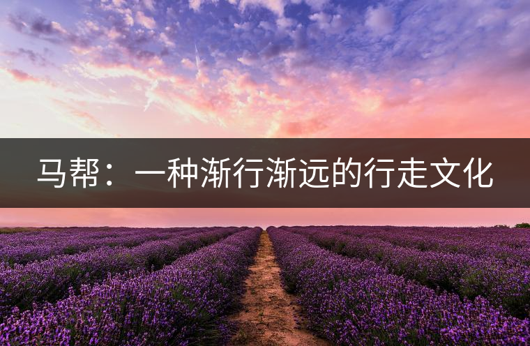 馬幫:一種漸行漸遠的行走文化 馬幫:一種漸行漸遠的行走文化
