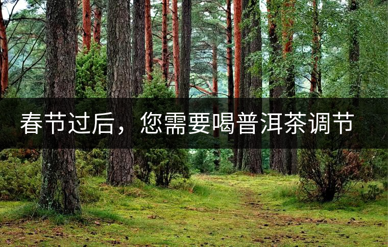 春節(jié)過(guò)后，您需要喝普洱茶調(diào)節(jié)身體
