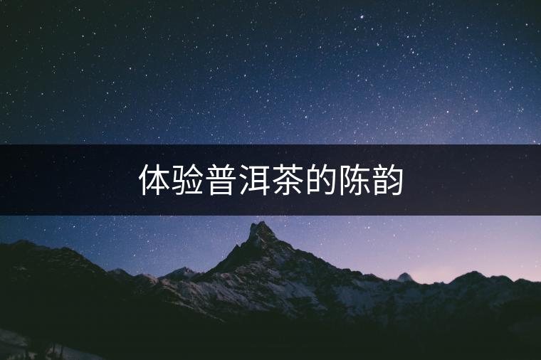 體驗普洱茶的陳韻