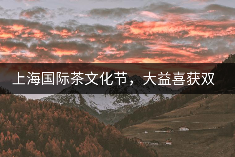 上海國際茶文化節(jié)，大益喜獲雙獎