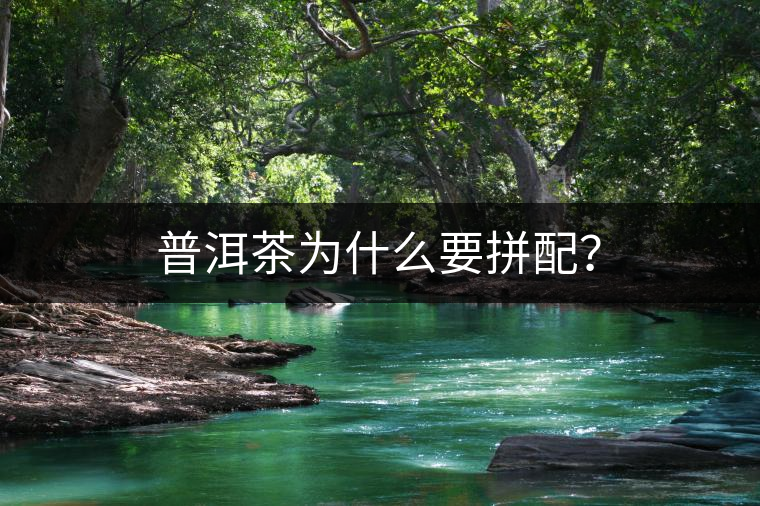 普洱茶為什么要拼配？