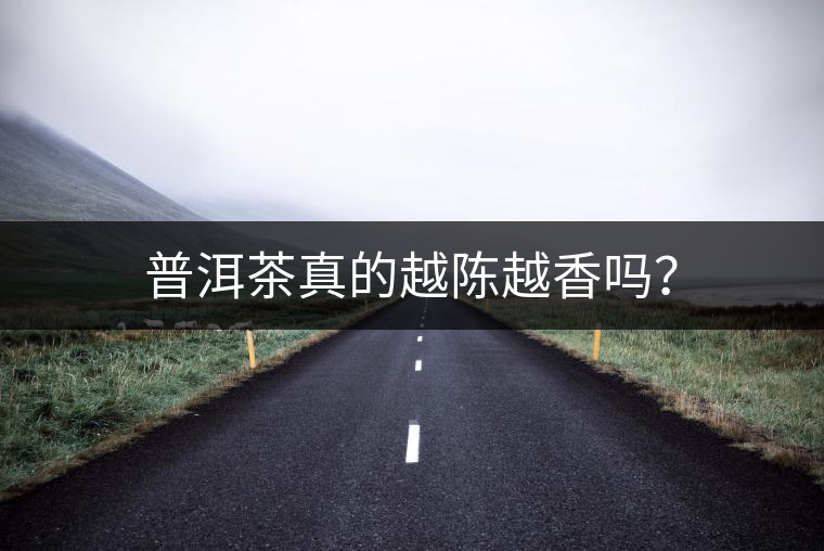 普洱茶真的越陳越香嗎？