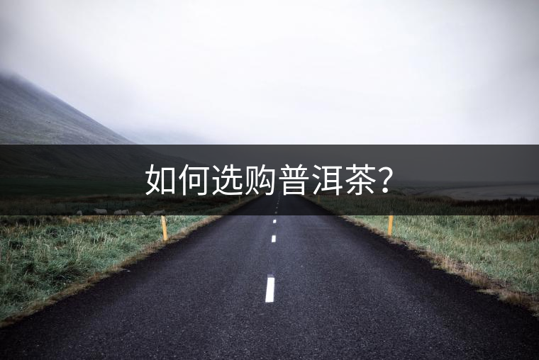 如何選購普洱茶？