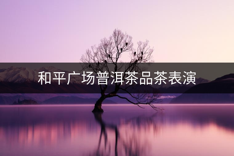 和平廣場普洱茶品茶表演