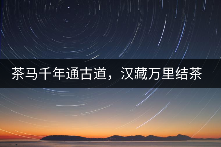 茶馬千年通古道，漢藏萬里結(jié)茶緣