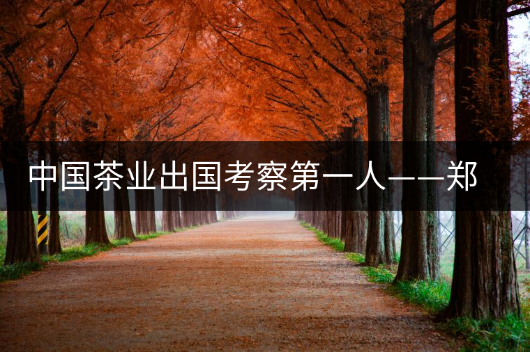 中國茶業(yè)出國考察第一人——鄭世璜