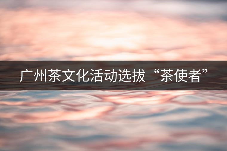 廣州茶文化活動(dòng)選拔“茶使者” 廣州茶文化活動(dòng)選拔“茶使者”