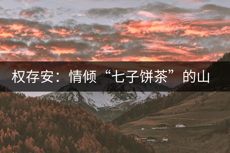 權存安:情傾“七子餅茶”的山里人 權存安:情傾“七子餅茶”的山里人