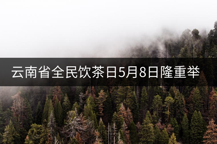 云南省全民飲茶日5月8日隆重舉行