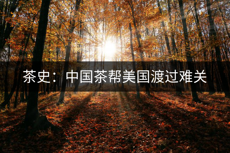 茶史:中國茶幫美國渡過難關(guān) 茶史:中國茶幫美國渡過難關(guān)